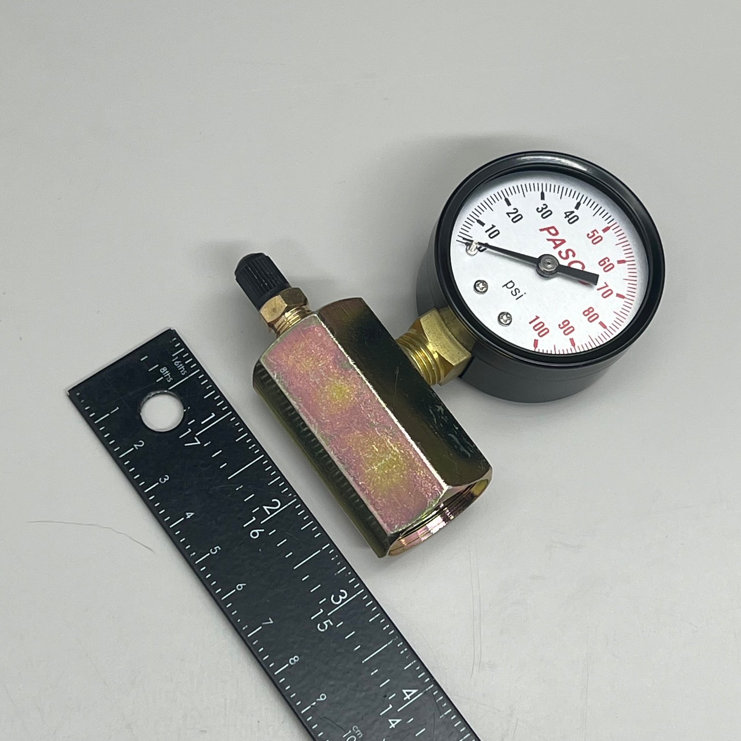 PASCO Air Test gauge 1/4" MPT Brass Connection 3/4" FPT HEX Body 2" 100 PSI 1421