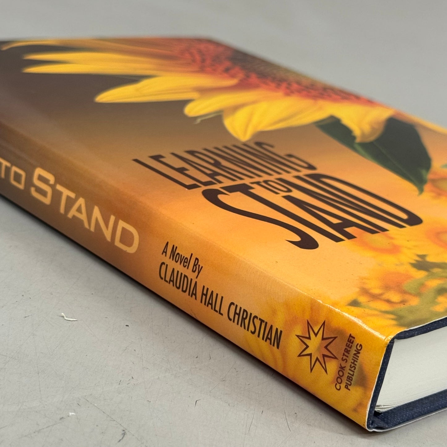COOK STREET PUBLISHING  (Hardcover) Learning to Stand  Claudia Hall Christian  Book 2 In The Alex The Fey Thriller Series