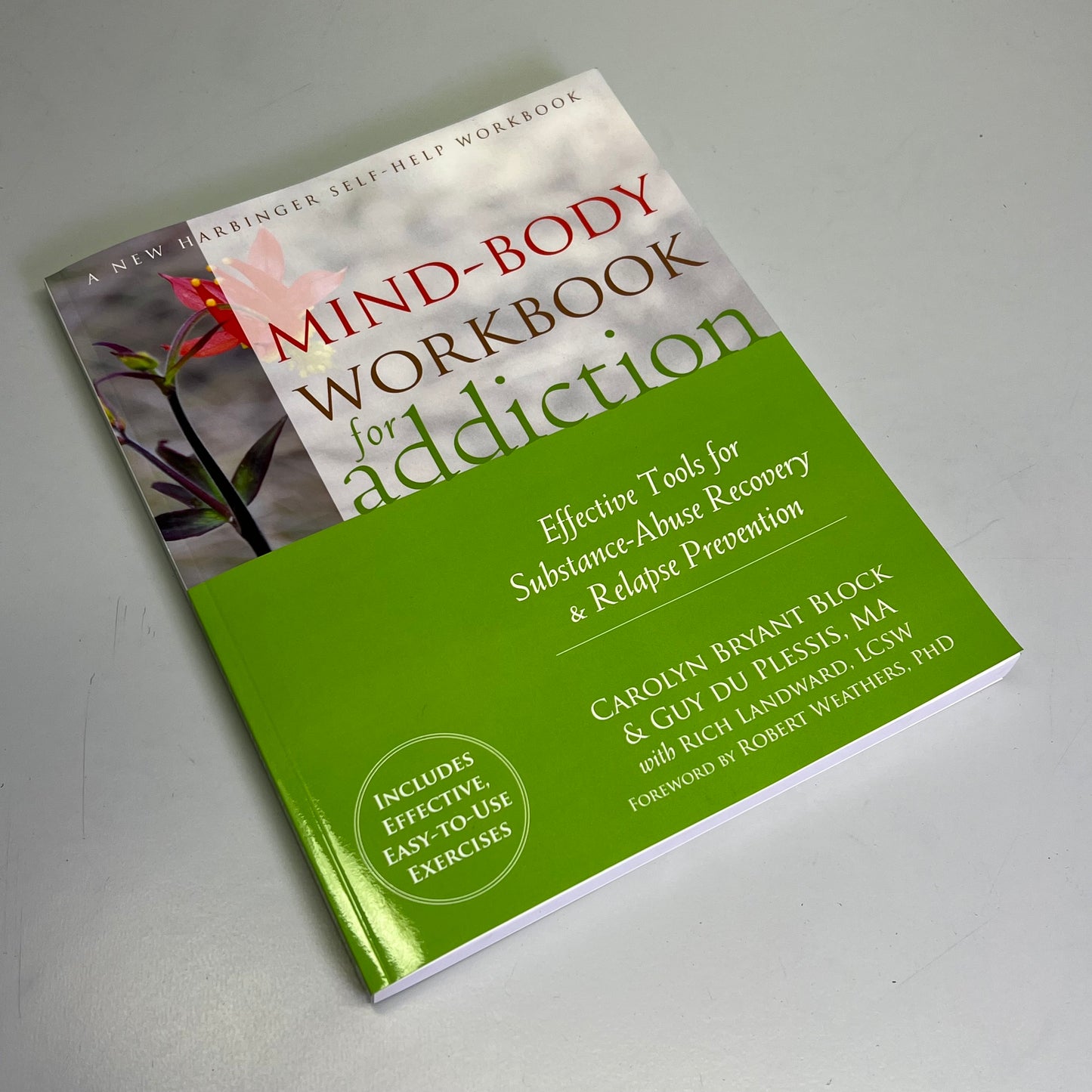MIND-BODY WORKBOOK FOR ADDICTION Effective Tools Substance Abuse Recovery Book
