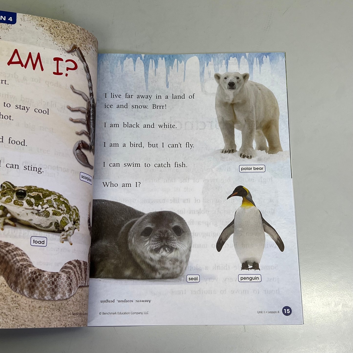 BENCHMARK EDUCATION (35 Book, 7 Unit Set) Classroom Phonics Intervention Level 3