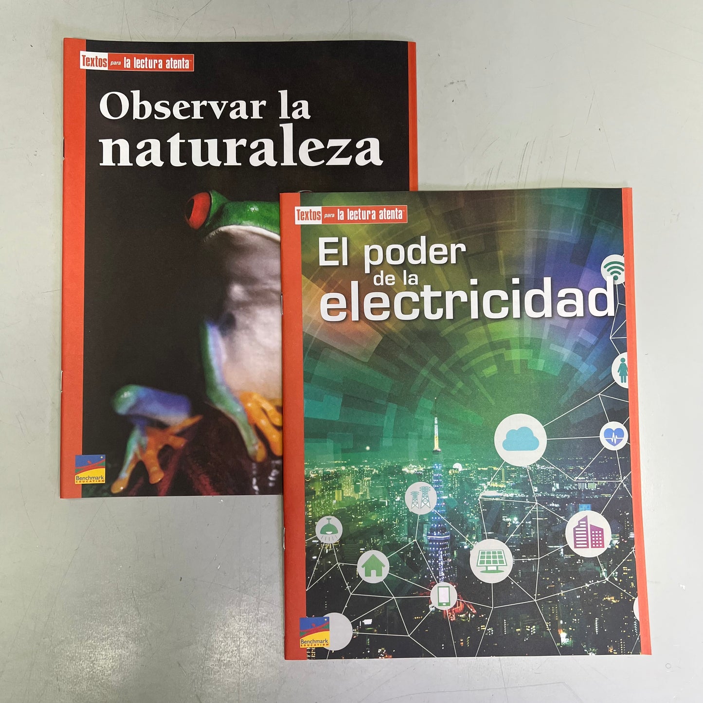 BENCHMARK EDUCATION (10 SET) Multiple Learning Point Books Grade 4 Spanish Edition