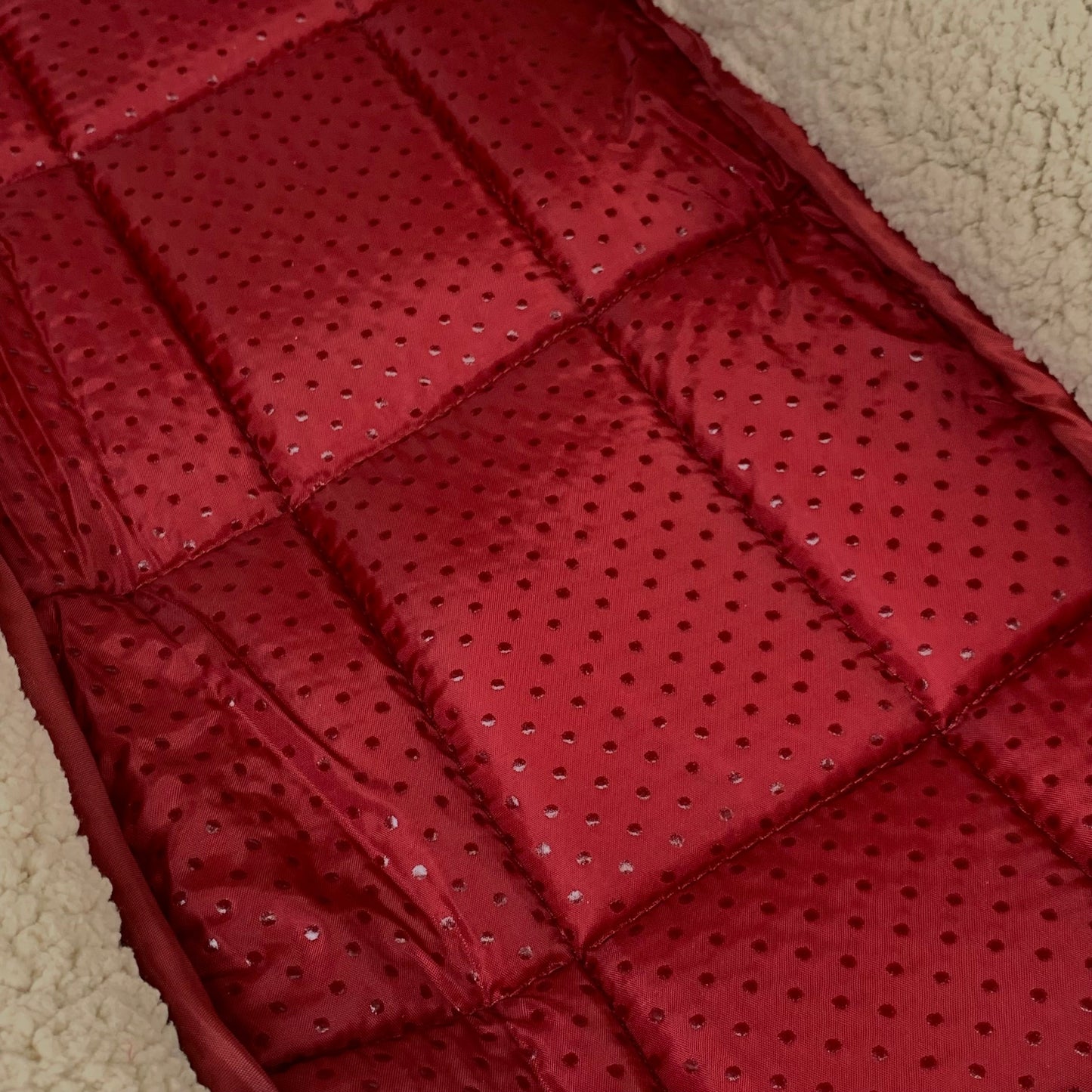 ZA@ ASPENPET Self Warm Bolster Pet Mat for Plastic & Wire Kennels 20.5"x14"x3" Barn Red/Cream 80263 A