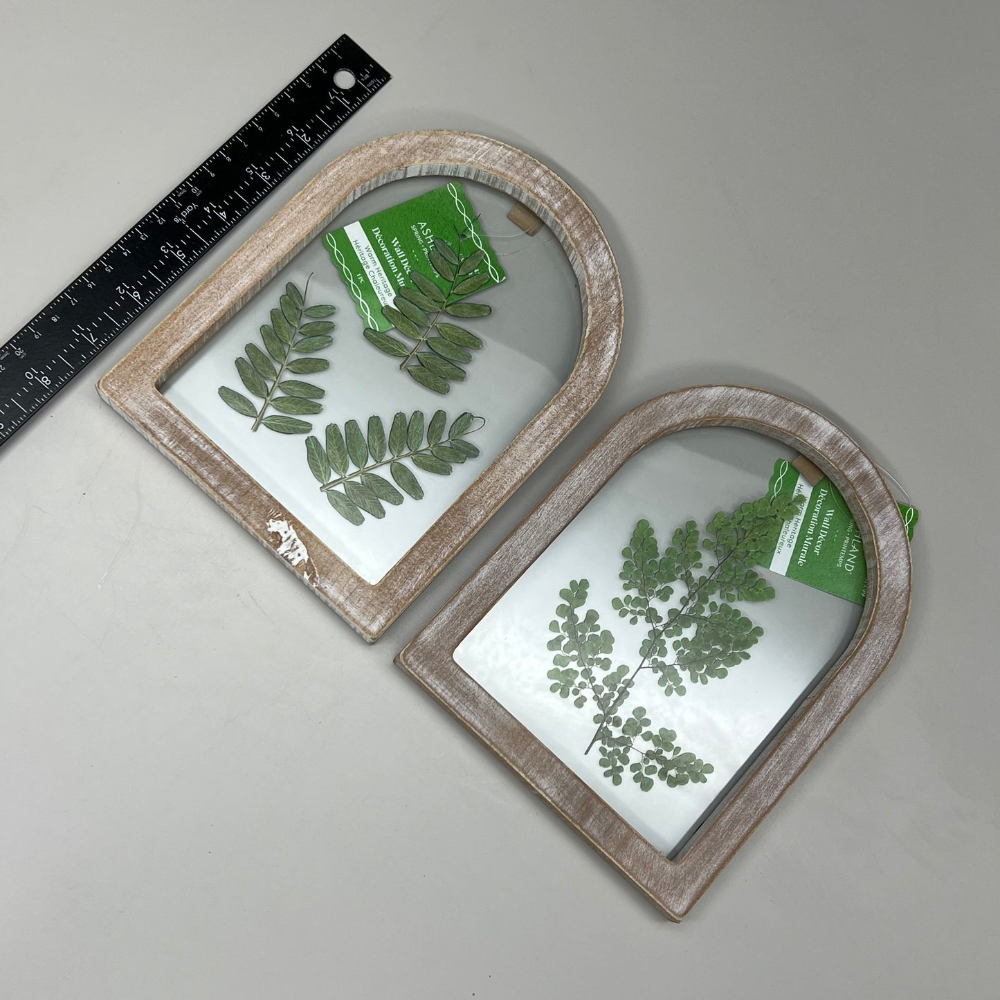 ASHLAND 2 Piece Set of 8in X 6in Wood Framed Hangable Glass Wall Art Plants 73476