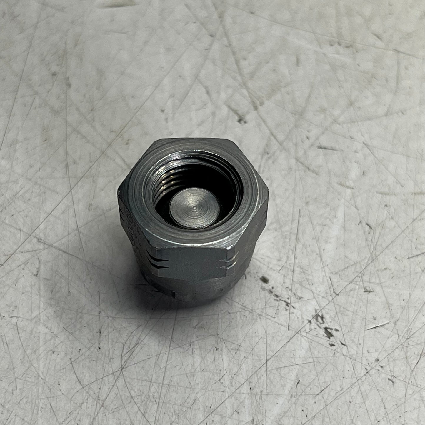 PARKER (5 PACK) Hannifin Male Steel Hydraulic Hose Coupler Dust Cap PT-00406