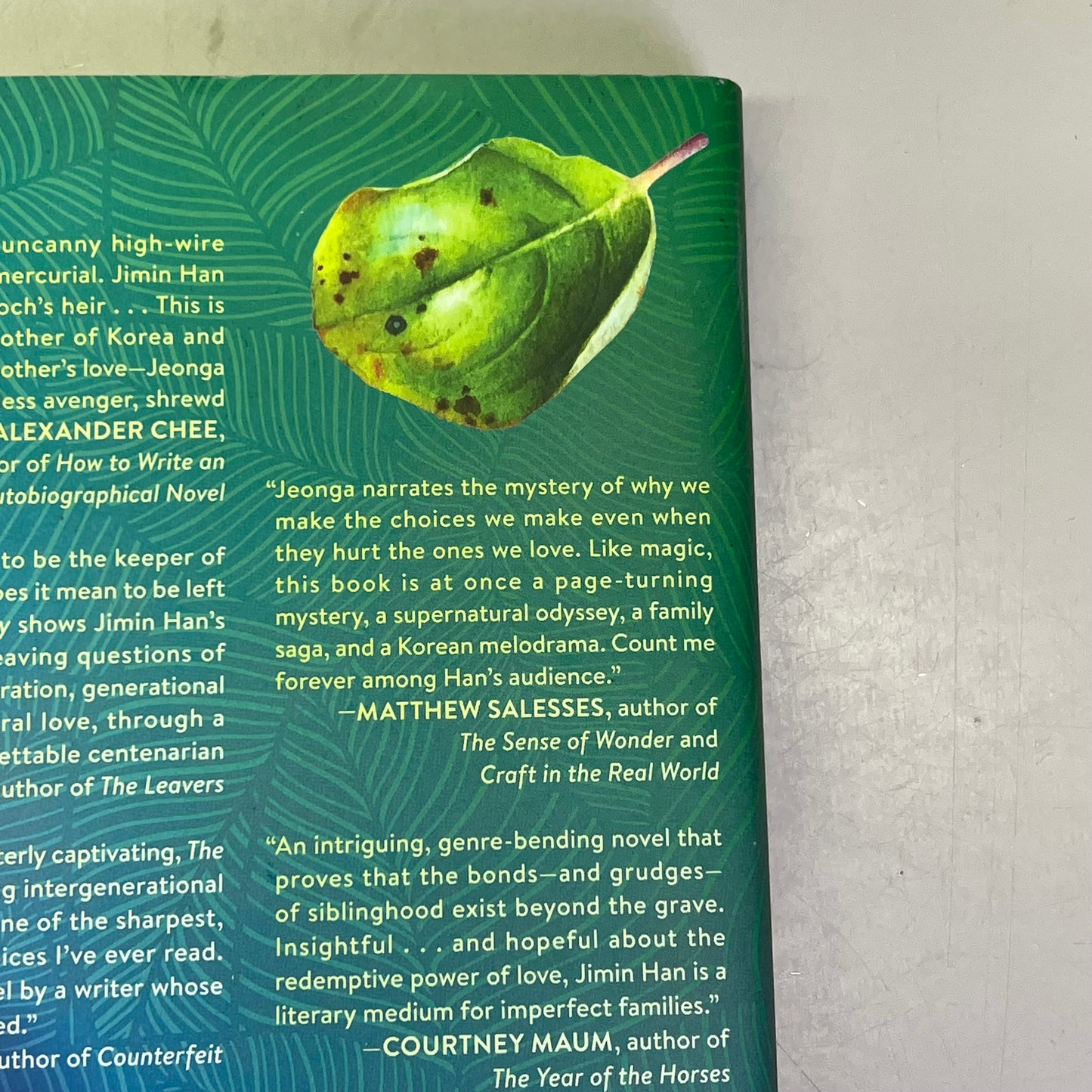 THE APOLOGY About A South Korean Matriarch Hardcover Book By Jimin Han