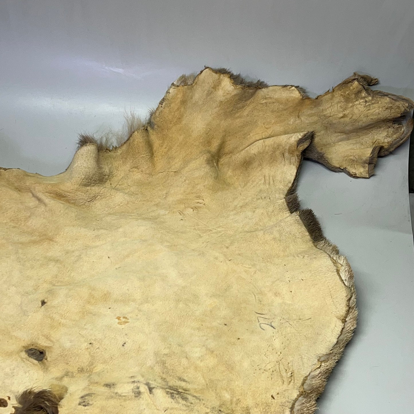 Large Real Elk Hide Rug/Home Décor 68"X55" Brown/Tan