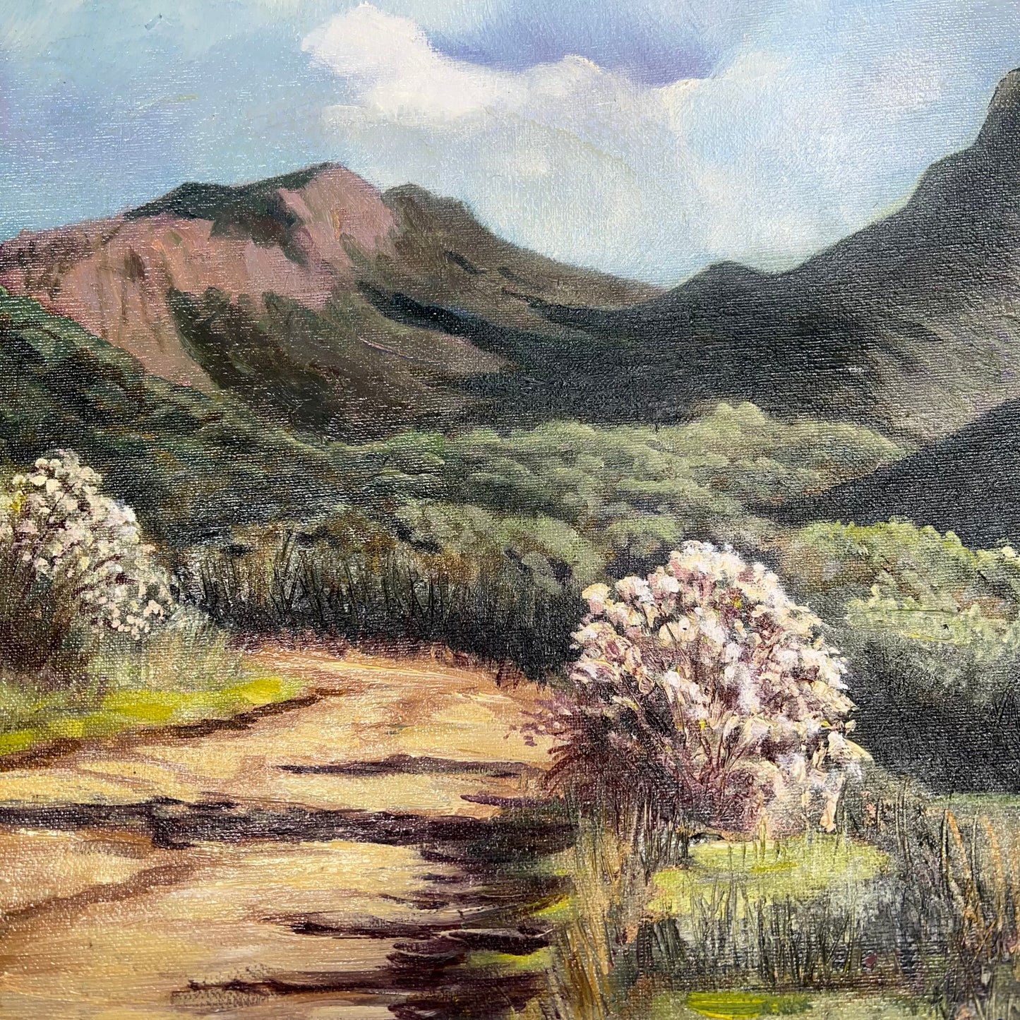 VERNA MARIE (CAMPBELL) Textured Oil Panting On Canvas Desert Mountains 24"x20"