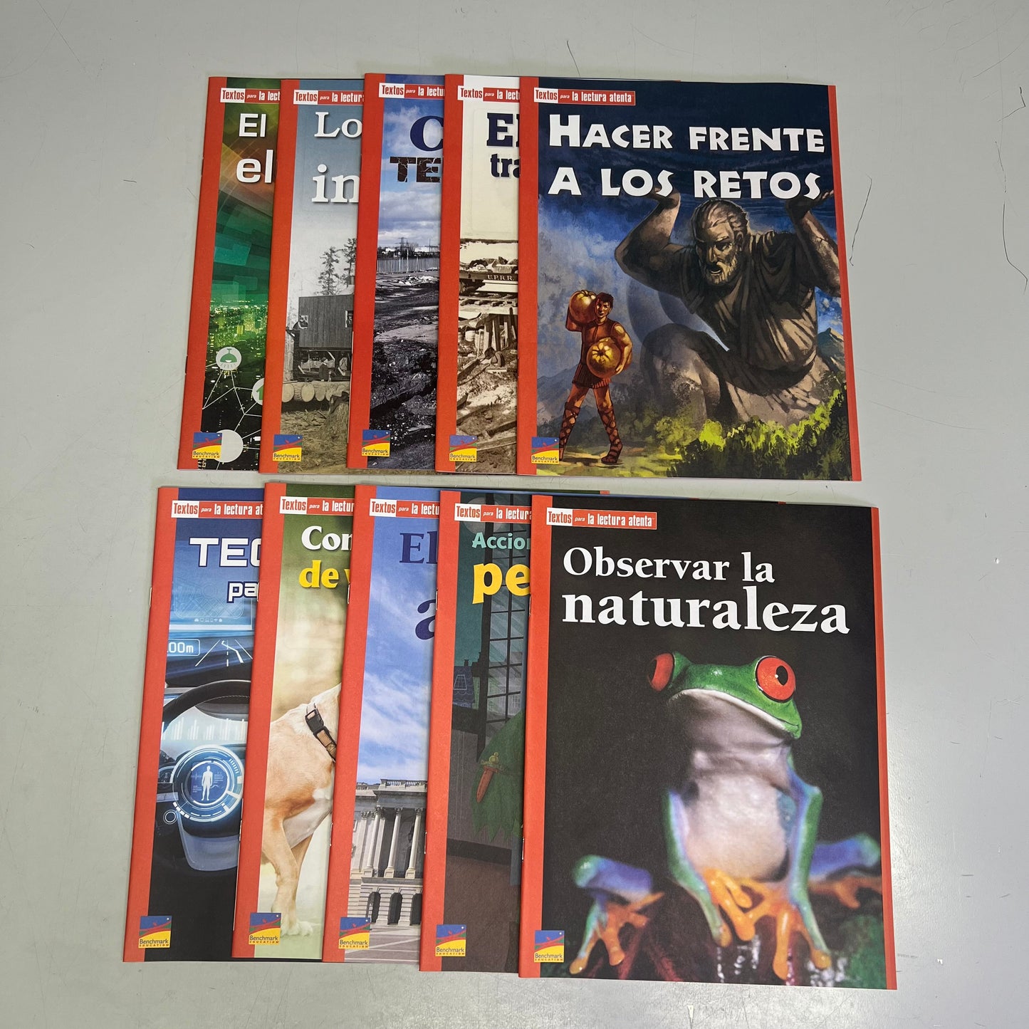 BENCHMARK EDUCATION (10 SET) Multiple Learning Point Books Grade 4 Spanish Edition