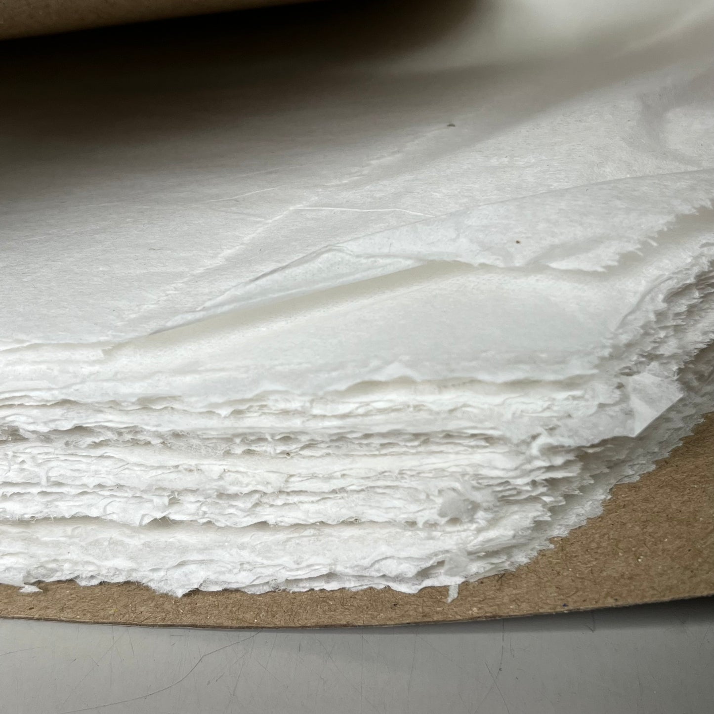 COASTWIDE (20 Pack Box) Professional Toilet Seat Covers