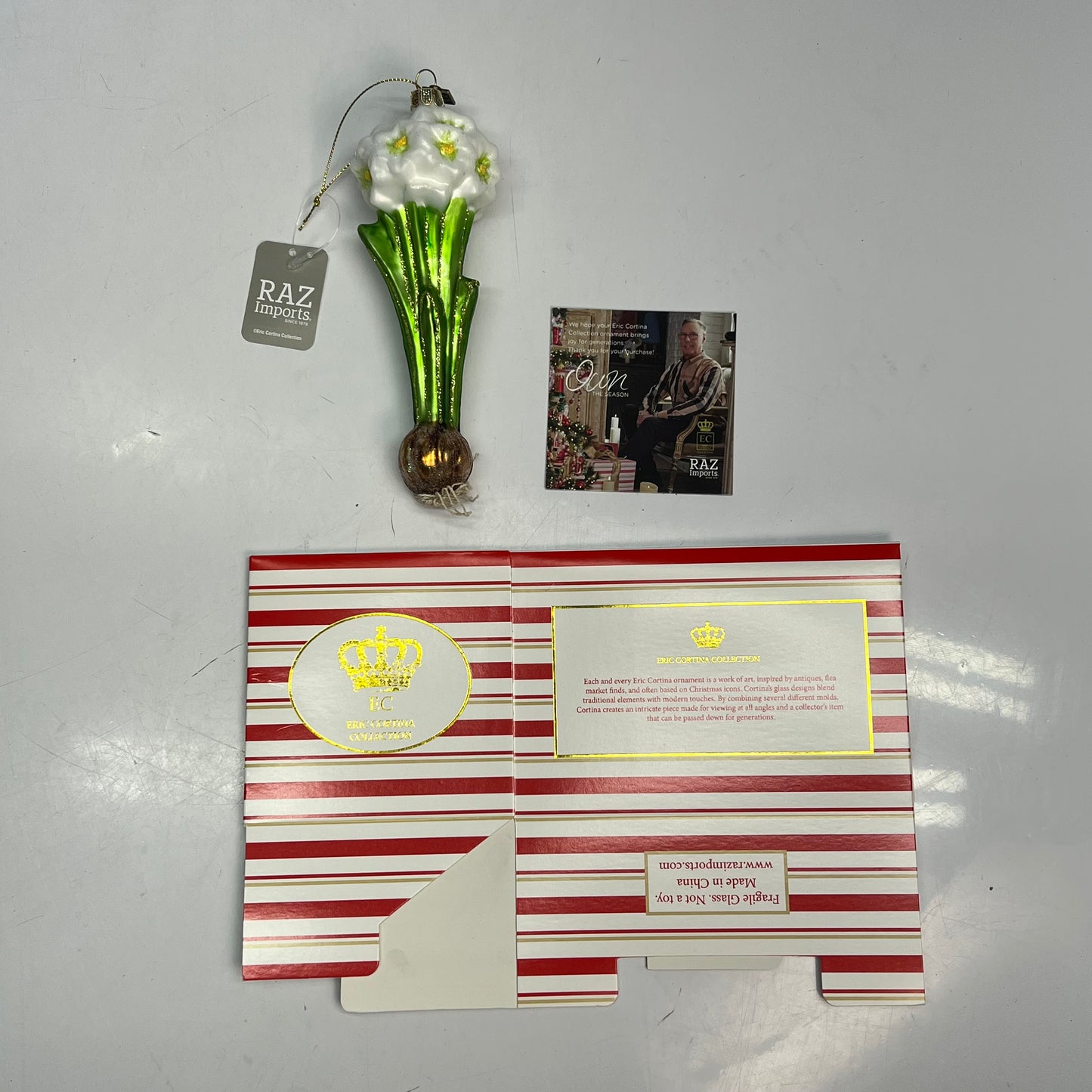 RAZ IMPORTS Glass Paperwhite Bulb Ornament Eric Cortina Collection 7" 4553115