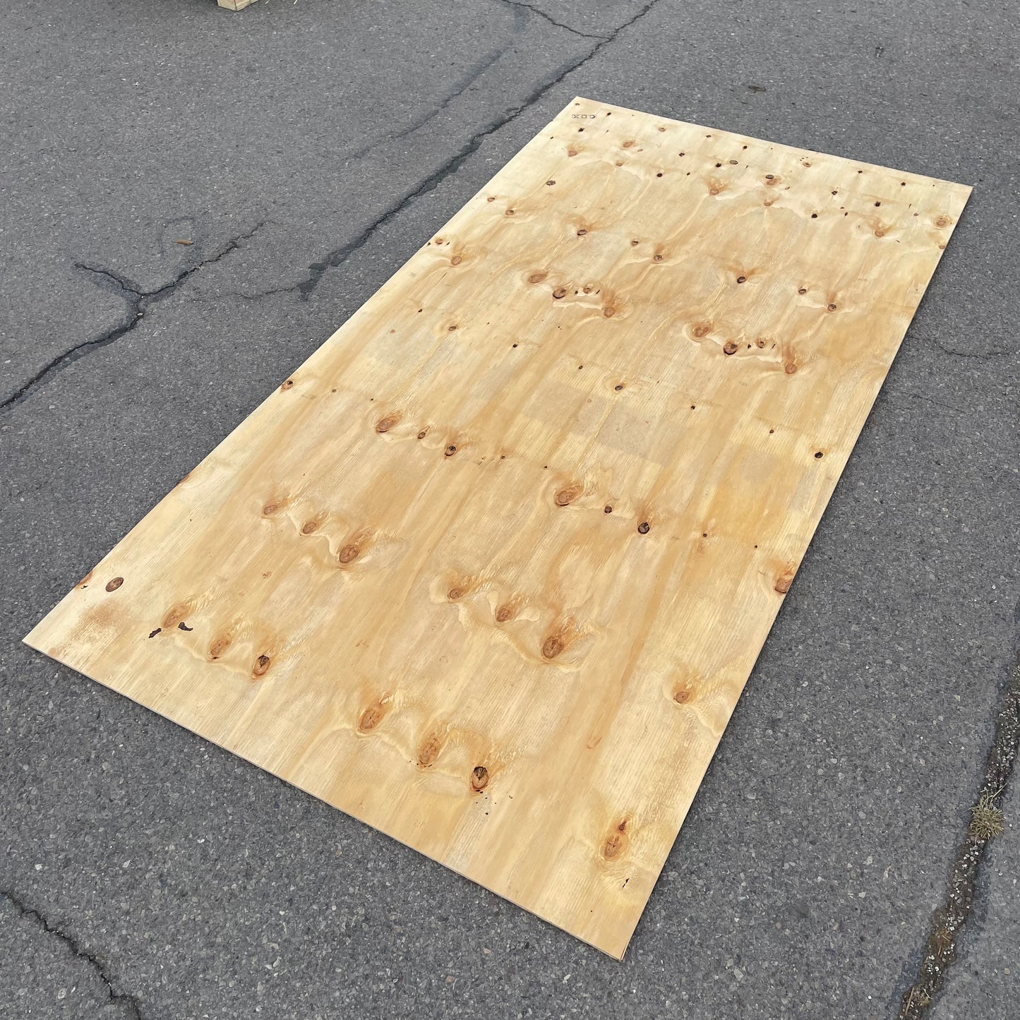 Z@ CDX Plywood Boards 87”x45” (AS-IS)