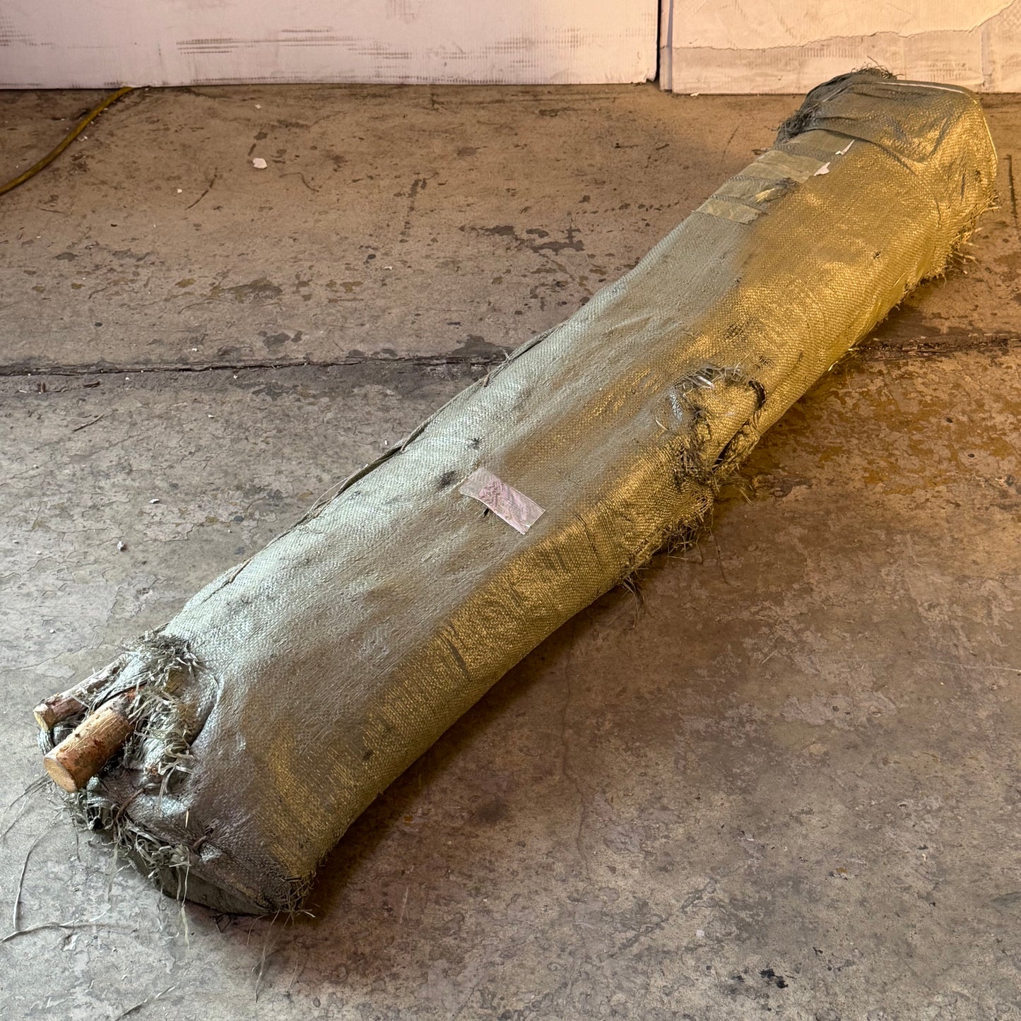 CREATIVECO-OP (16 Pcs) Long Wood Birch Branch 59"L Wood DA3953