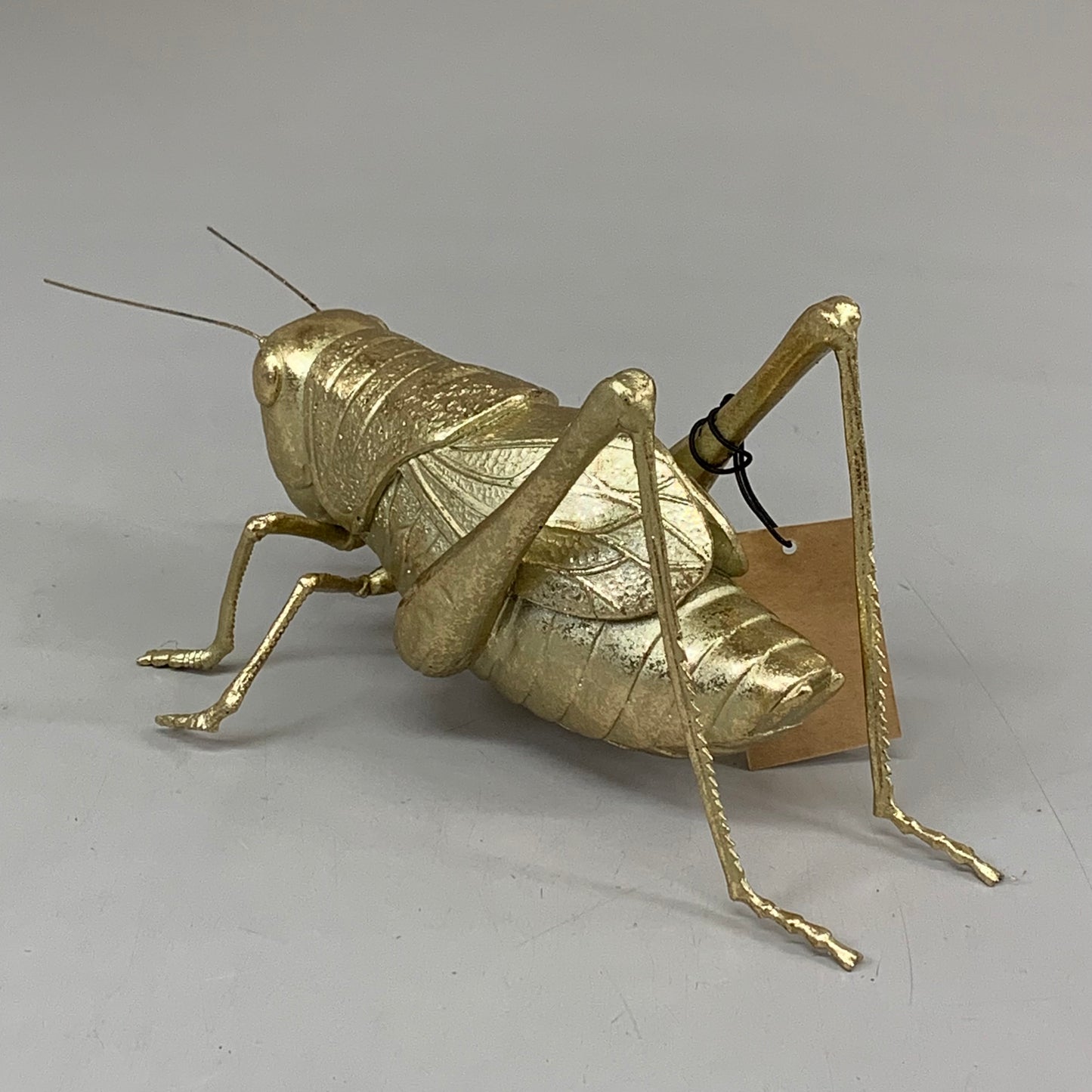 CREATIVE CO-OP Gold Resin Cricket Figurine 10"x4.5"x4.5" Overall Length Gold DF1054