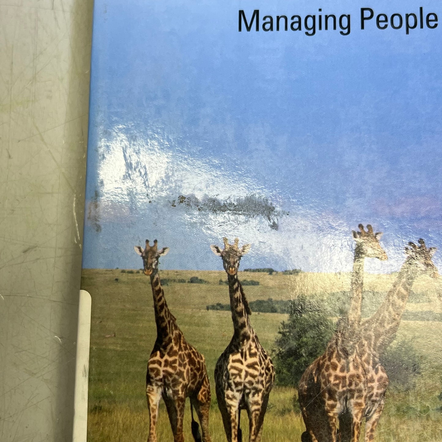 ORGANIZATIONAL BEHAVIOR Managing People & Organizations Paperback Book (As-is)