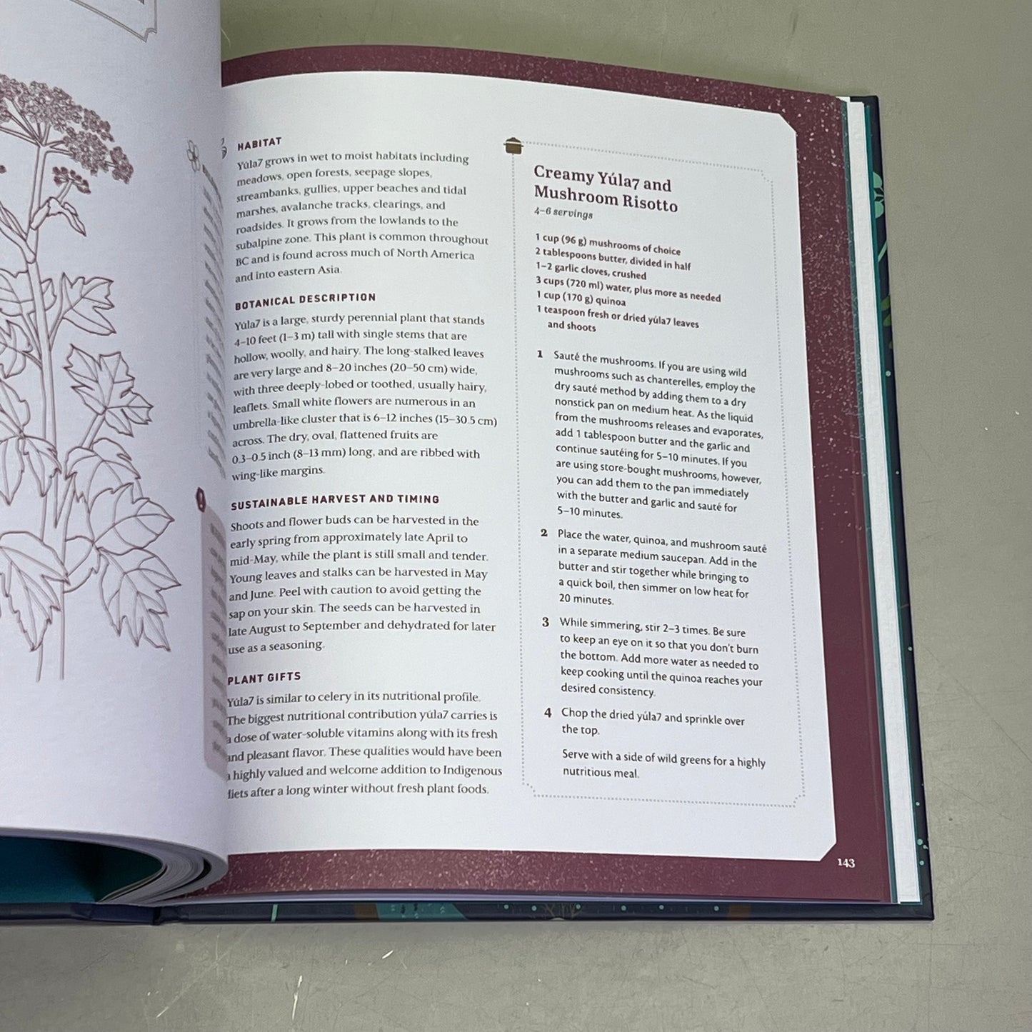 HELD BY THE LAND A Guide To Indigenous Plants For Wellness By Leigh Joseph
