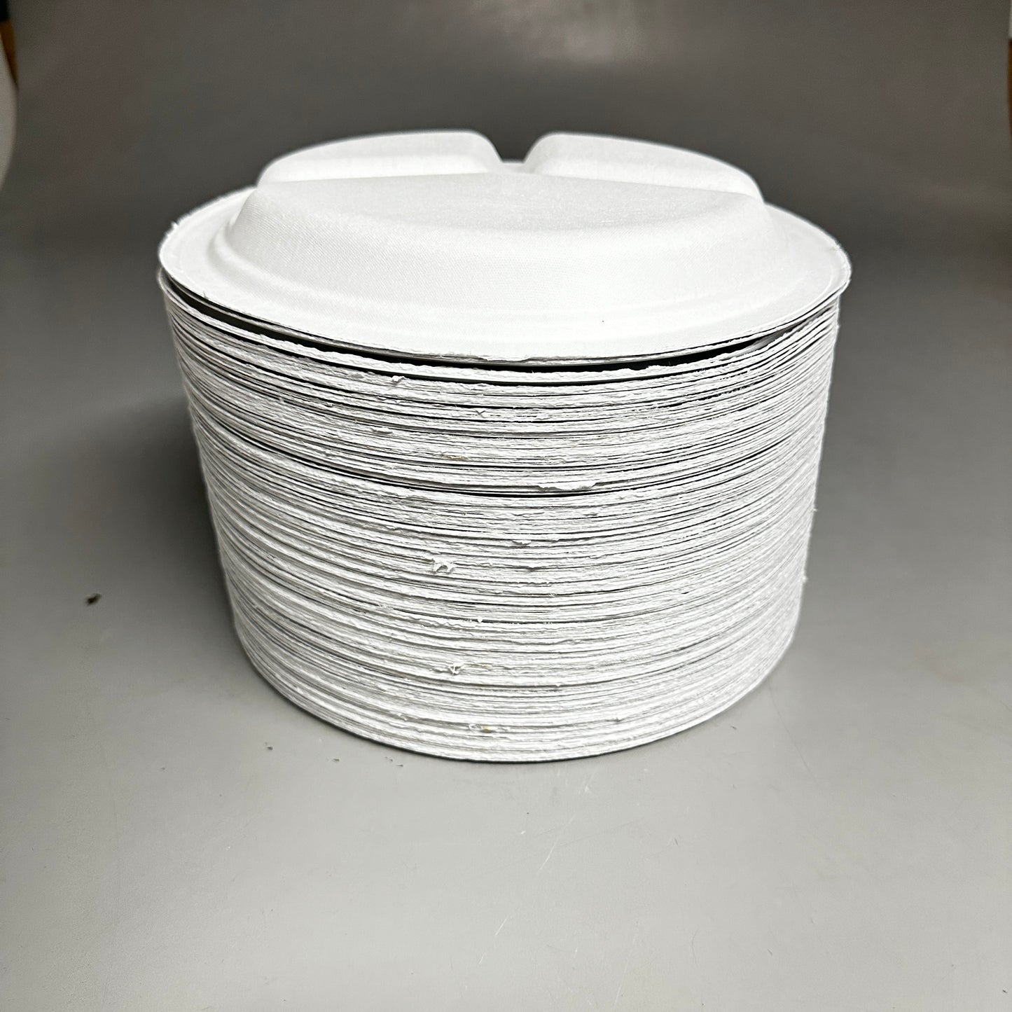 Divided Paper Plates (500 PACK) Disposable Round 10" Plates