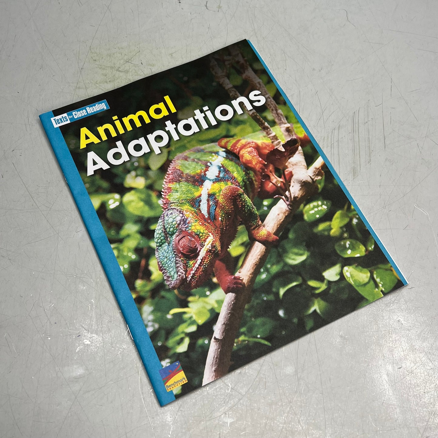 BENCHMARK Advance (National Edition) Gr. 3 Texts Close Reading Paperback Y49165