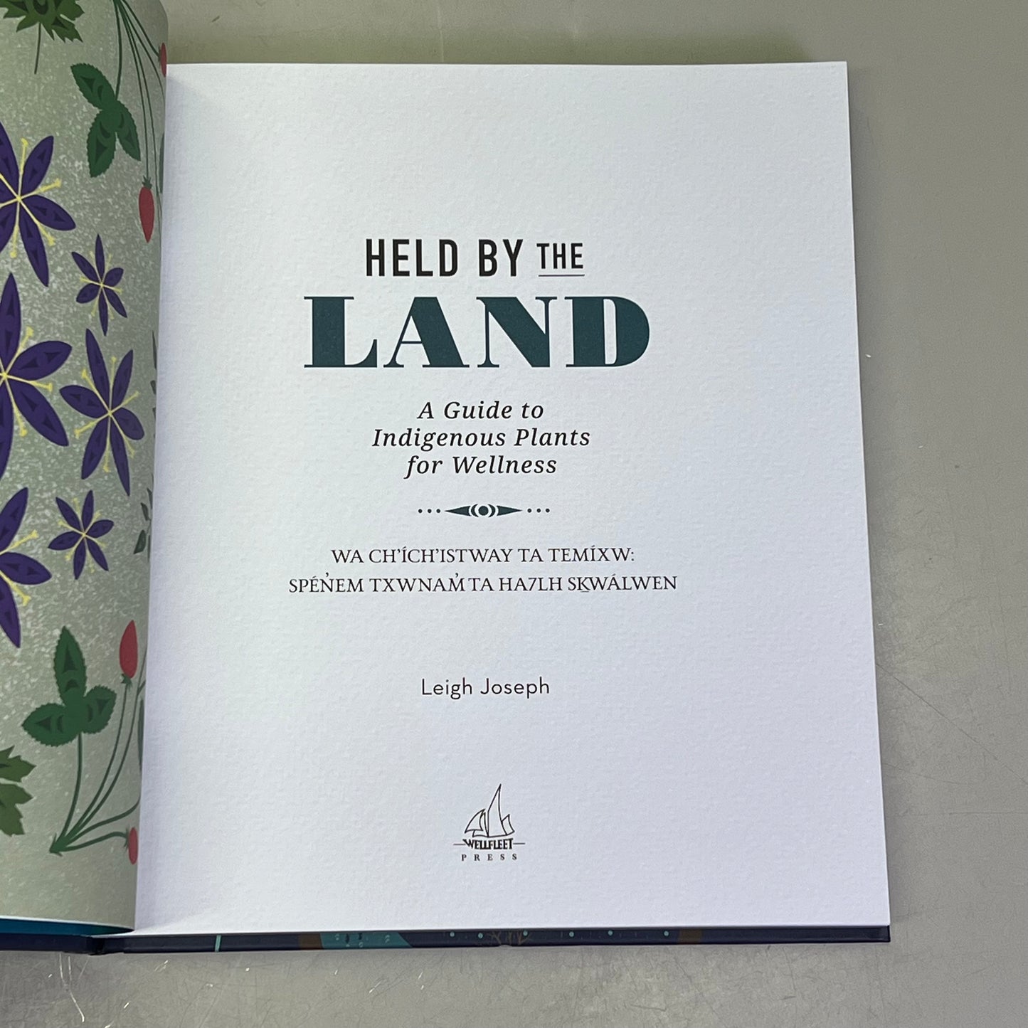 HELD BY THE LAND A Guide To Indigenous Plants For Wellness By Leigh Joseph