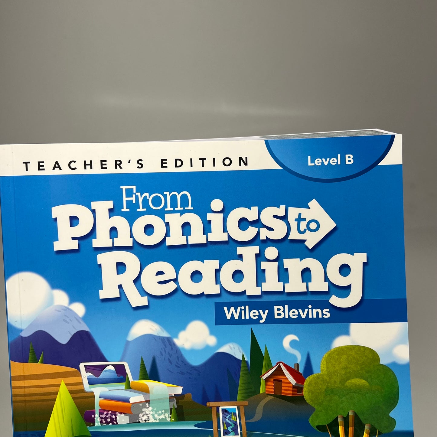FROM PHONICS TO READING Level B Teachers Edition Wiley Blevins Paperback Book