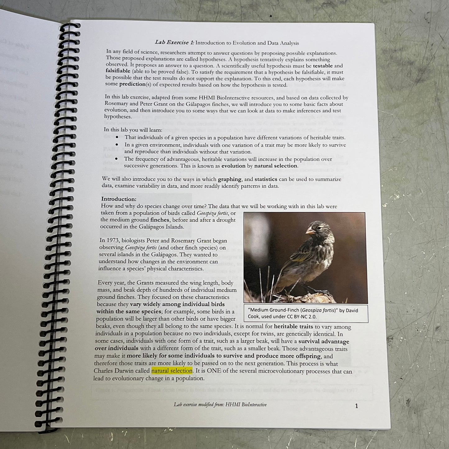 LABORATORY EXERCISES FOR ORGANISMAL BIOLOGY FALL 2025 SPRING 2026 Spiral Book