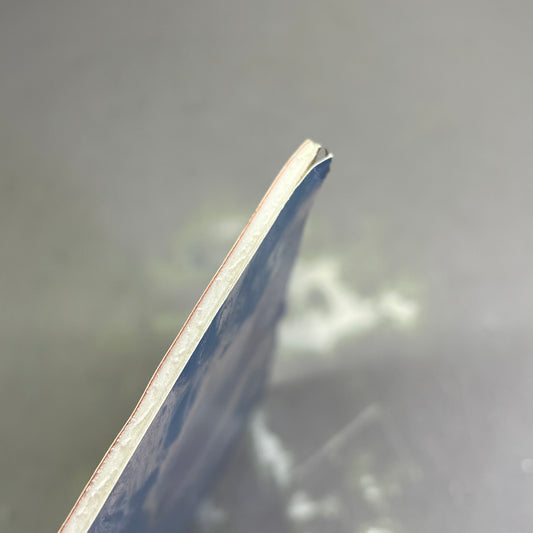 E. MARTIN HENNINGS  Printed Native Traveling Painting Foam Board 18"x17" (Like New)