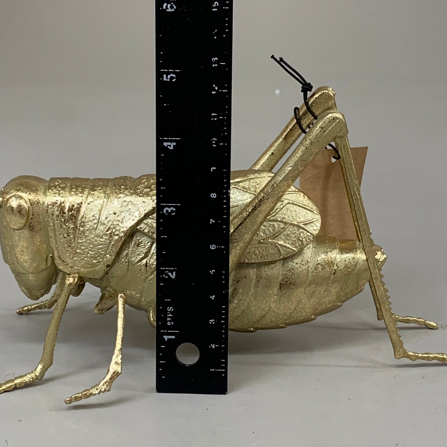 CREATIVE CO-OP Gold Resin Cricket Figurine 10"x4.5"x4.5" Overall Length Gold DF1054