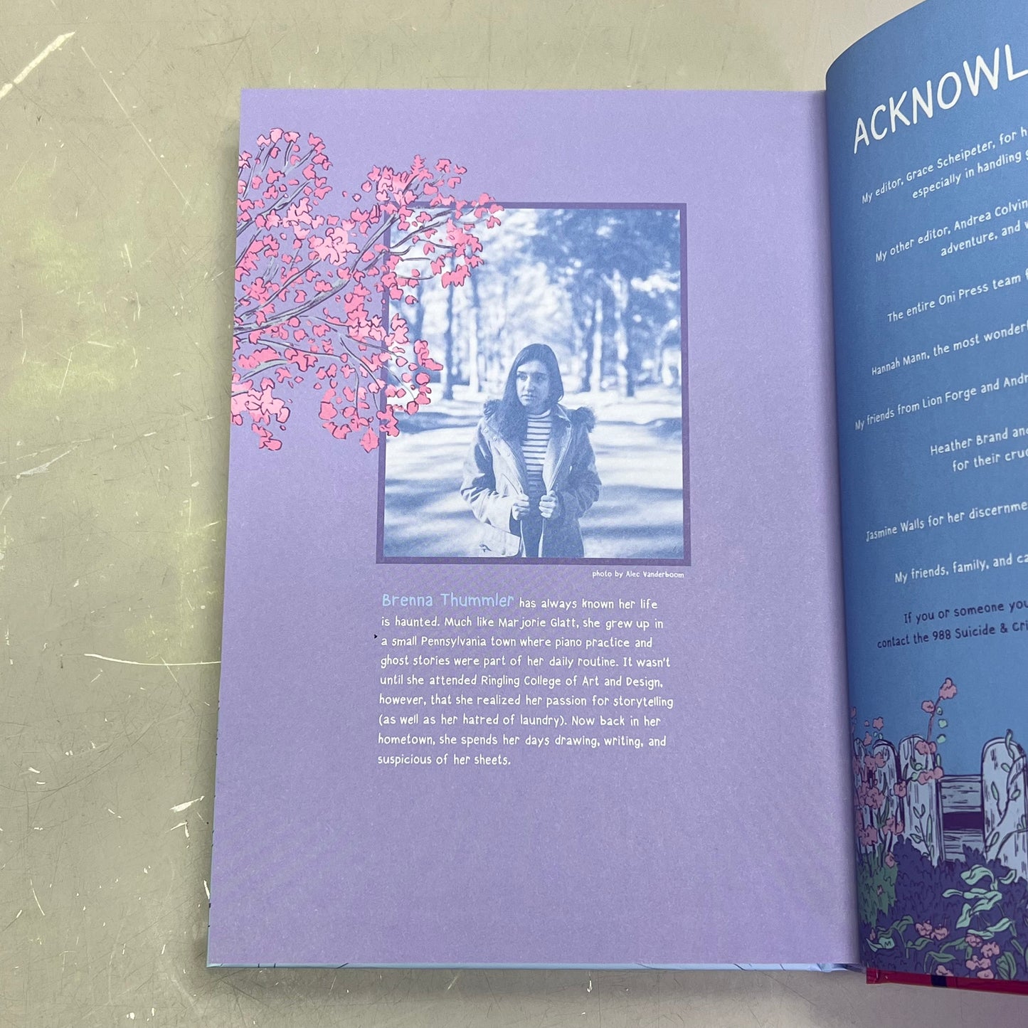 DELICATES  Hardback Book Deluxe Edition The Sequel To Sheets By Brenna Thummler