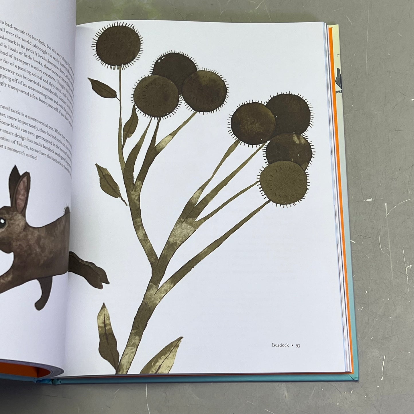 THE ATLAS OF MIGRATING PLANTS & AMINAL Hardback Book By Megan Lee (As-is)