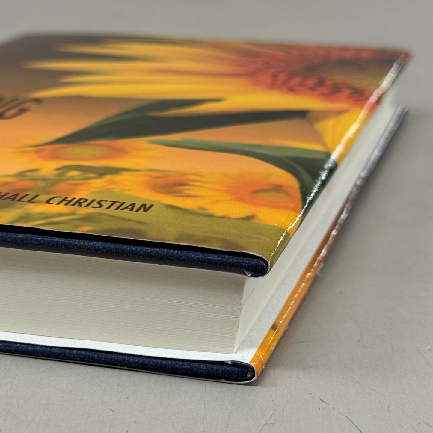 COOK STREET PUBLISHING  (Hardcover) Learning to Stand  Claudia Hall Christian  Book 2 In The Alex The Fey Thriller Series