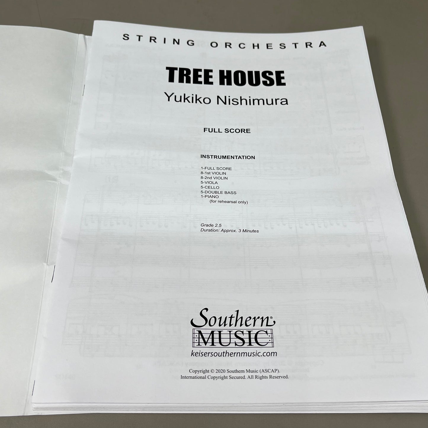 SOUTHERN MUSIC Tree House by Yukiko Nishimura Medium Easy String Orchestra