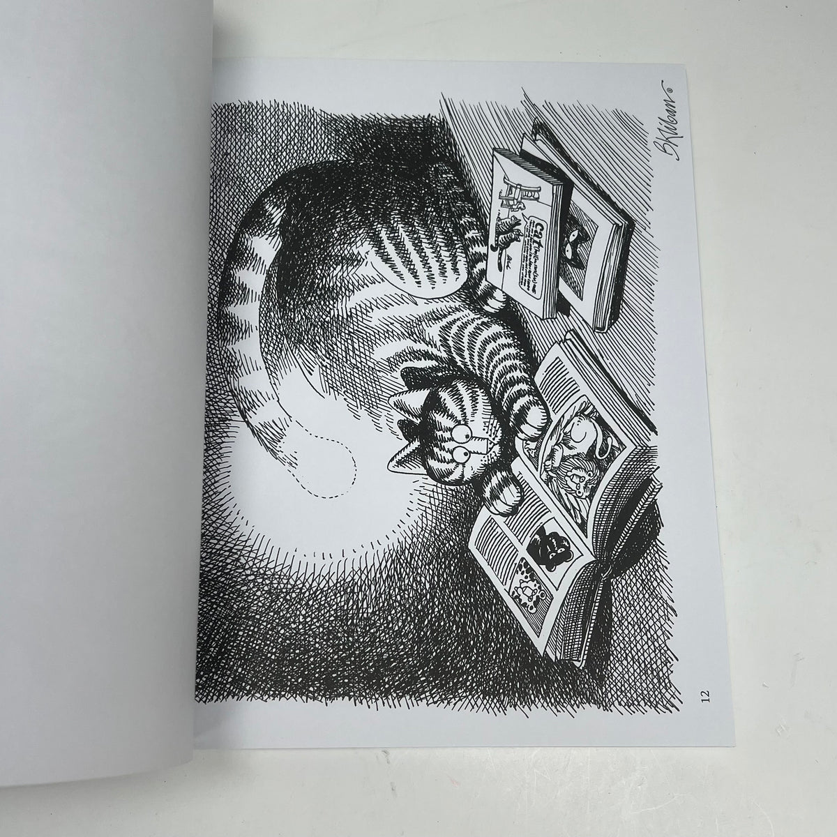 ZA@ POMEGRANATE B. Kliban Catcolor Coloring Book Soft Cover 22 Images