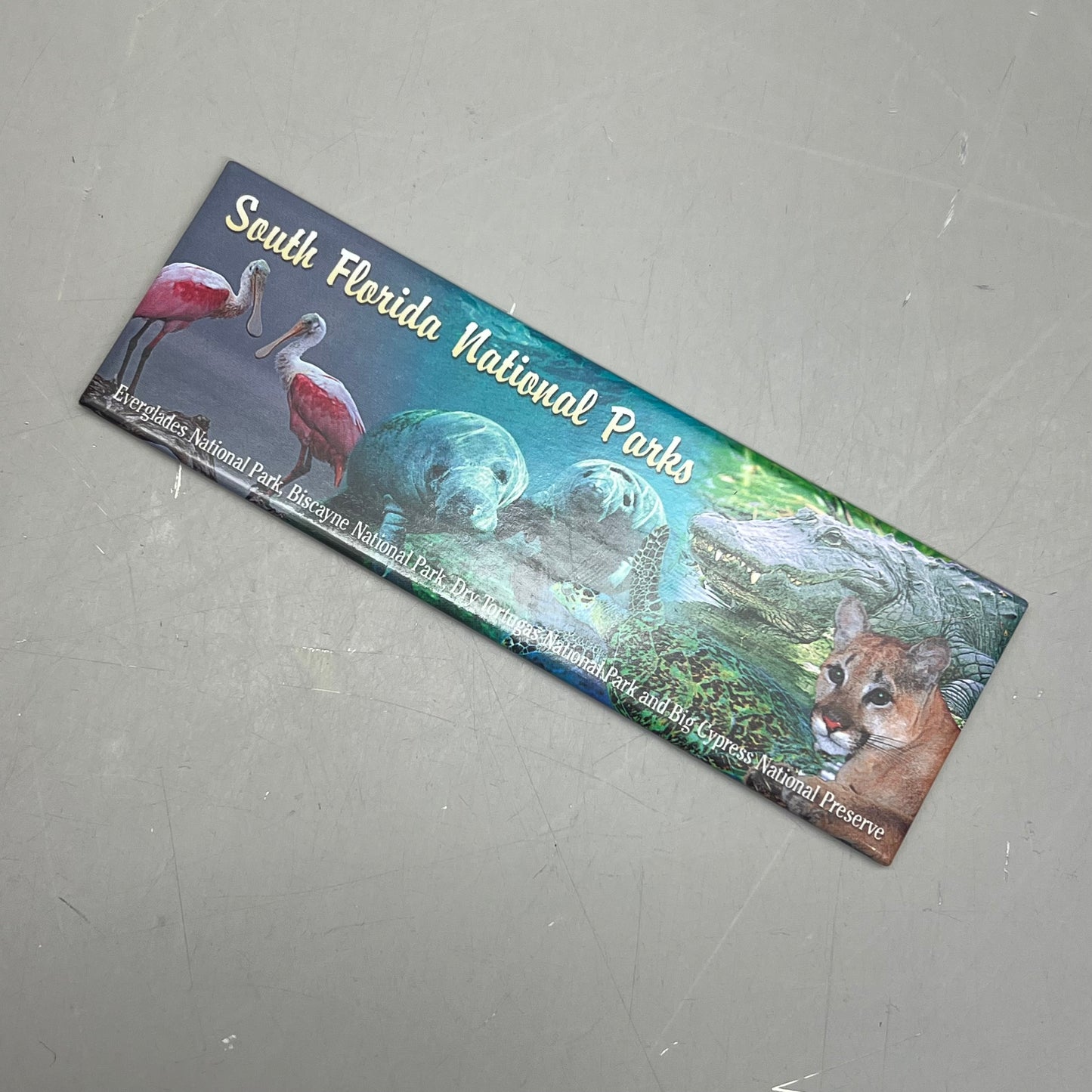 MAGNET (10 PACK) South Florida National Parks 5"x2" Multicolor