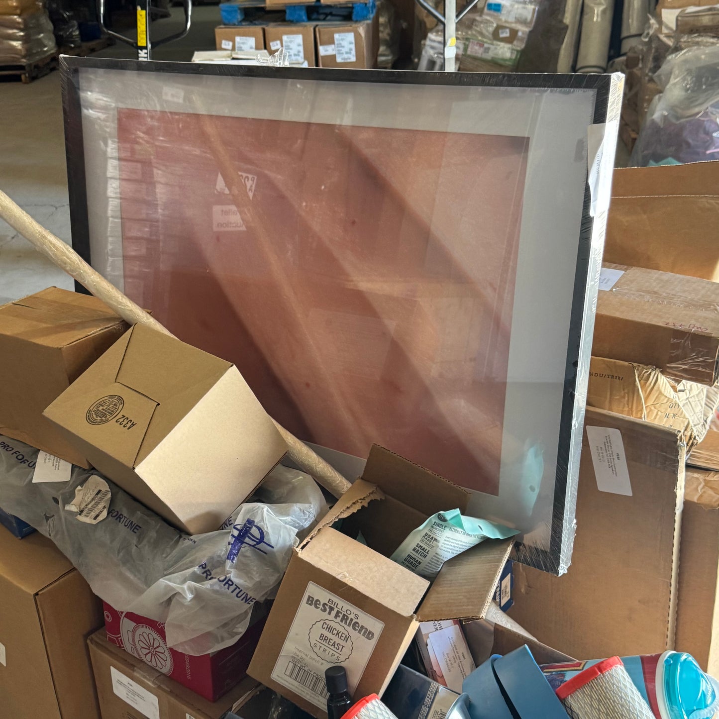 ZA@ Pallet of MIXED Art Printed Wall Frame, Air Filters, Shelf Support, Cups, T-Shirt, Dog Treats, Etc... (AS-IS)