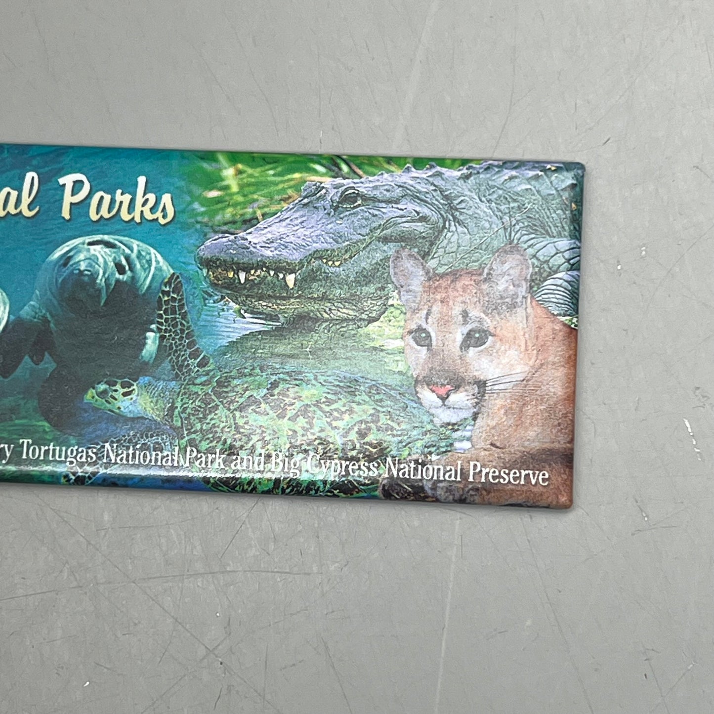 MAGNET (10 PACK) South Florida National Parks 5"x2" Multicolor