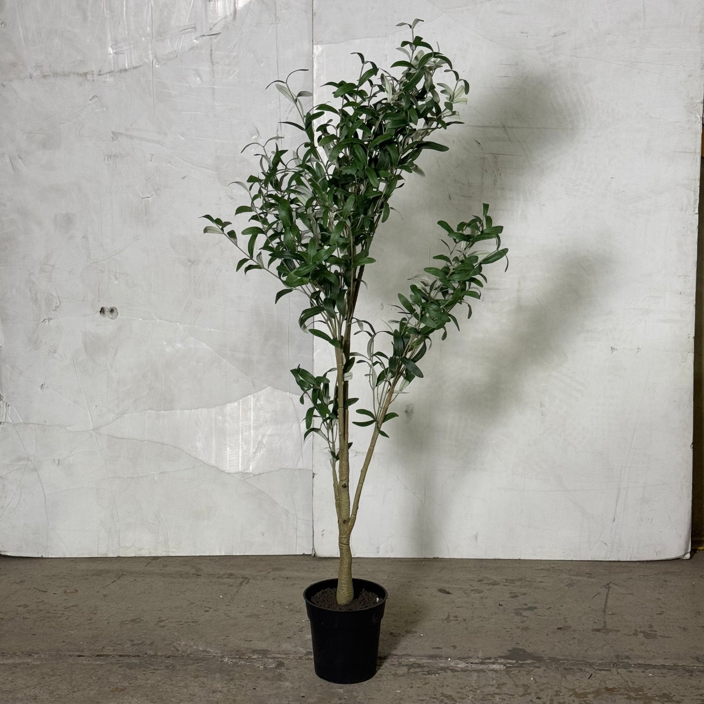 ZA@ NEARLY NATURAL 55” Tall Artificial Minimalist Ekianthus Tree T4660 (AS-IS, New Other)