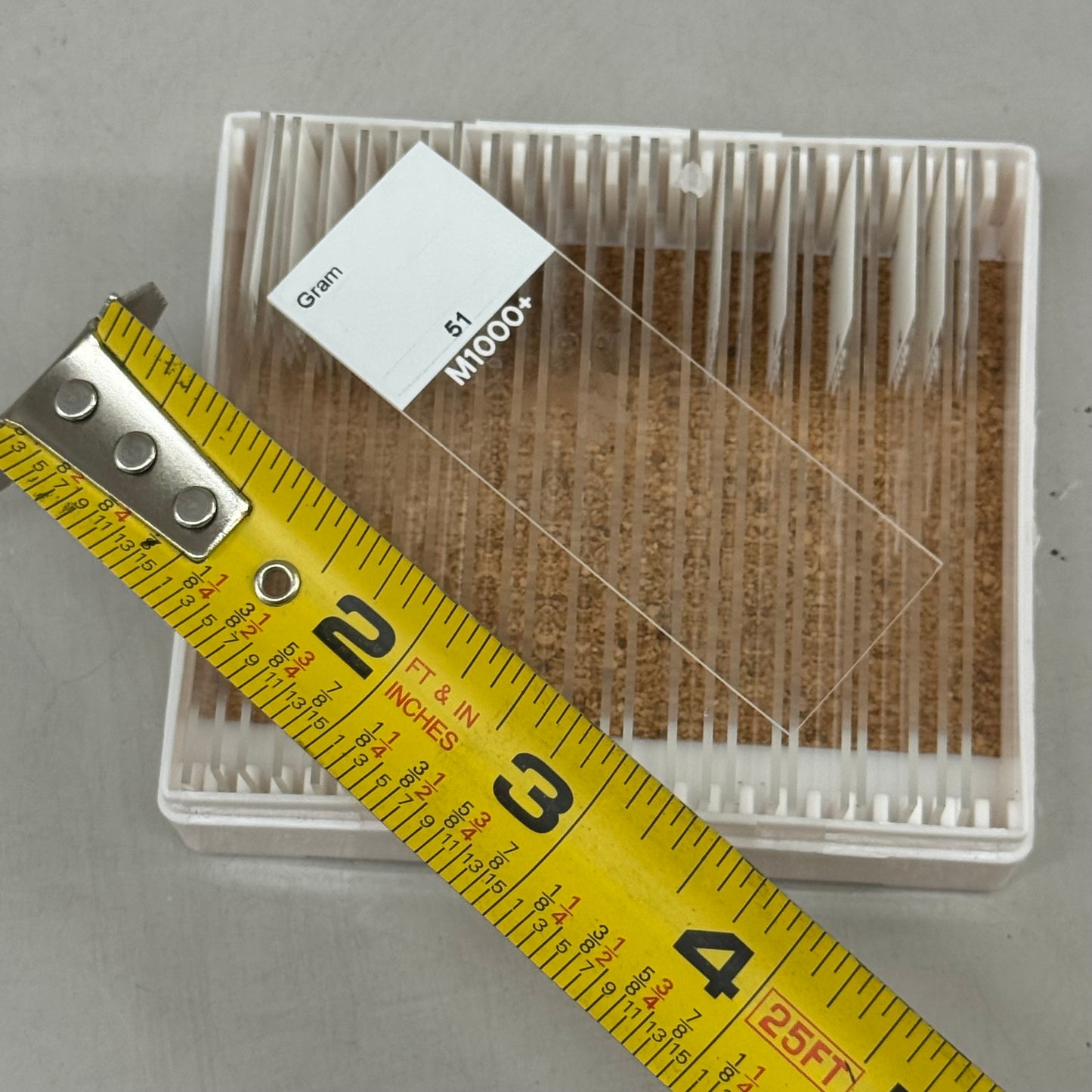 STATLAB (25 Pack) Gram Stain +/- Control Slides For Medical Use 80857H BB:12/26