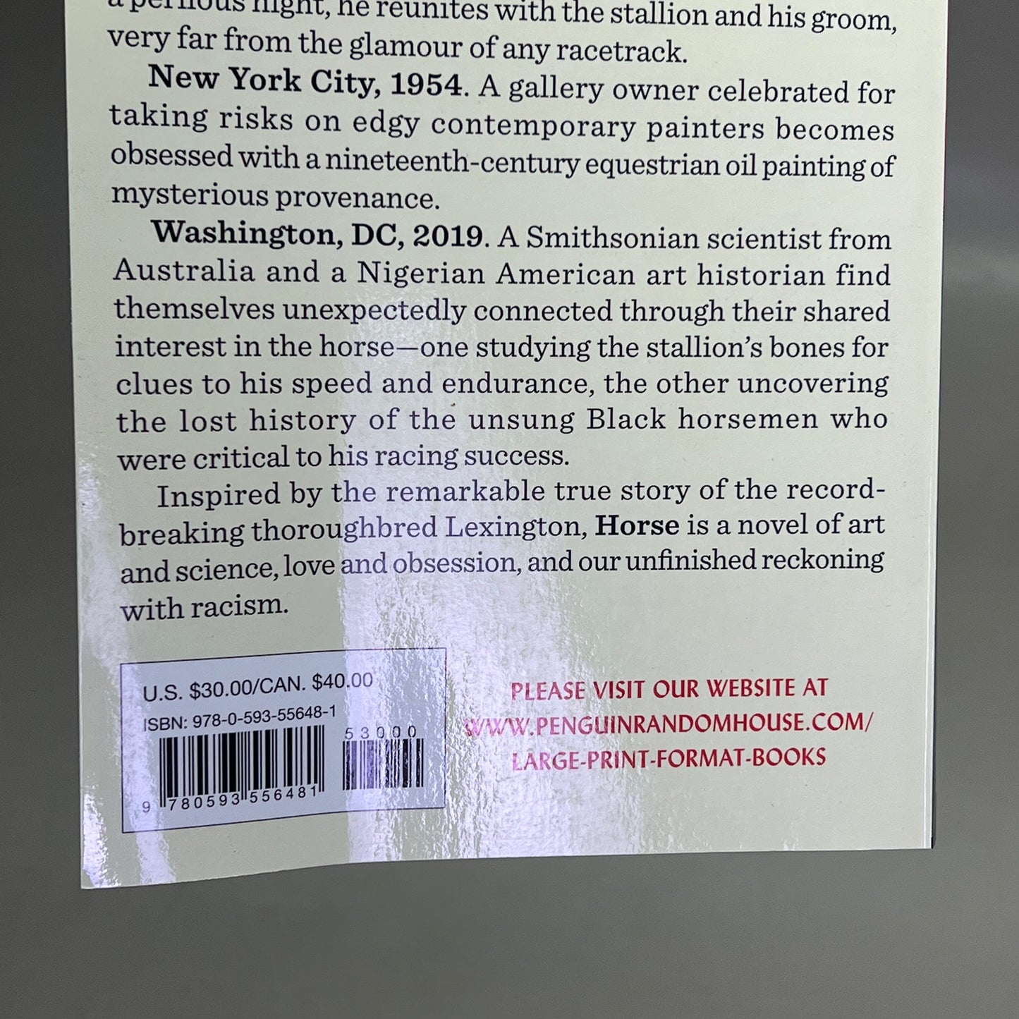 HORSE Animal Fiction Novel By Geraldine Brooks Paper Back Book Large Print