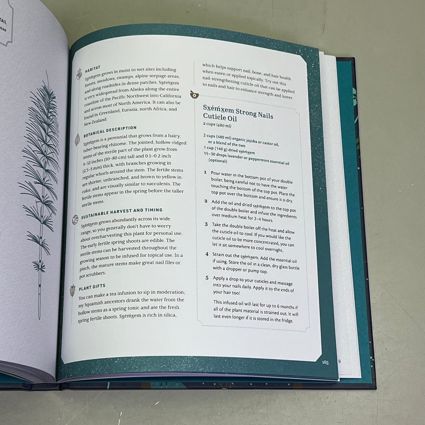 HELD BY THE LAND A Guide To Indigenous Plants For Wellness By Leigh Joseph