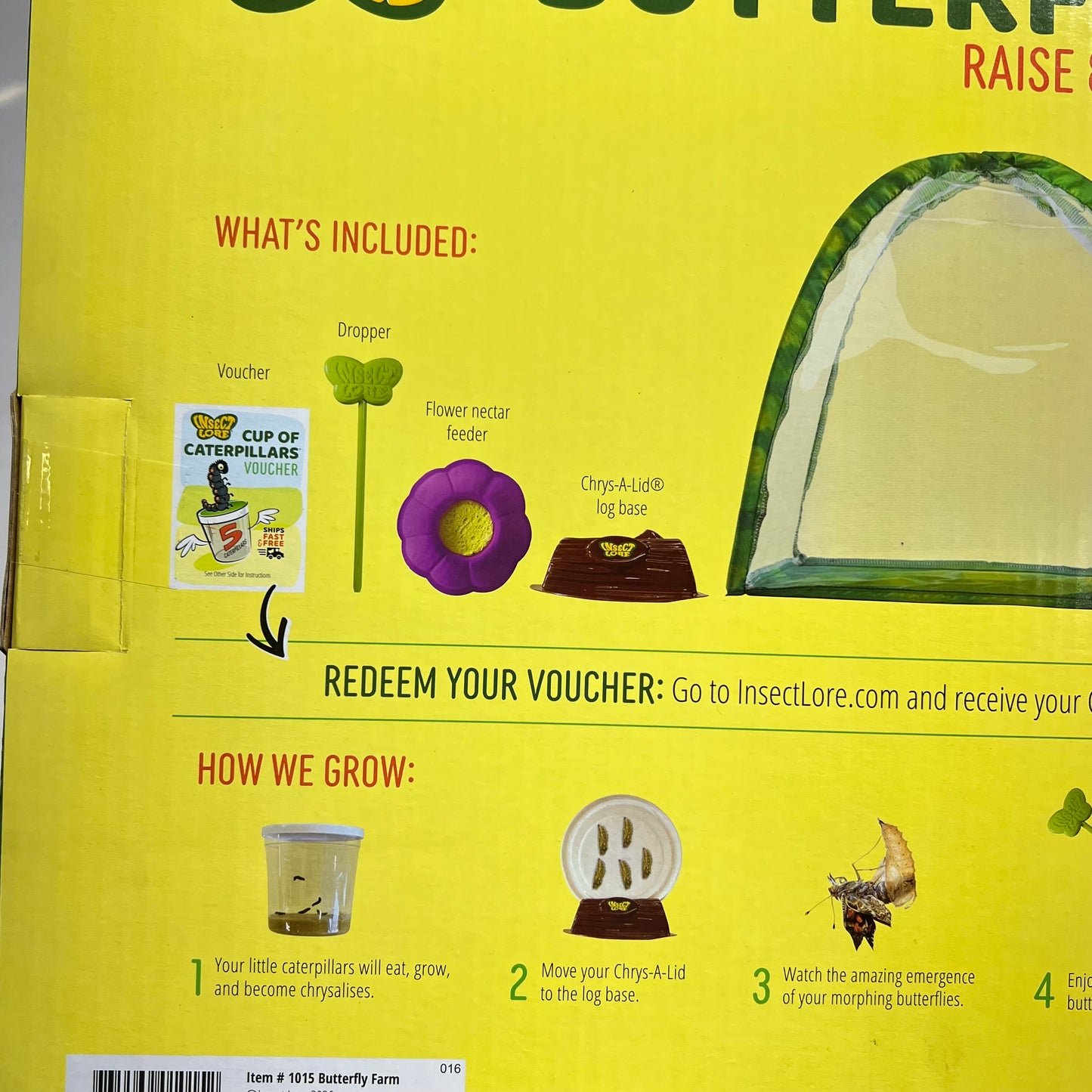 INSECT LORE The Original Raise & Release Butterfly Farm Life Cycle Kit  1015