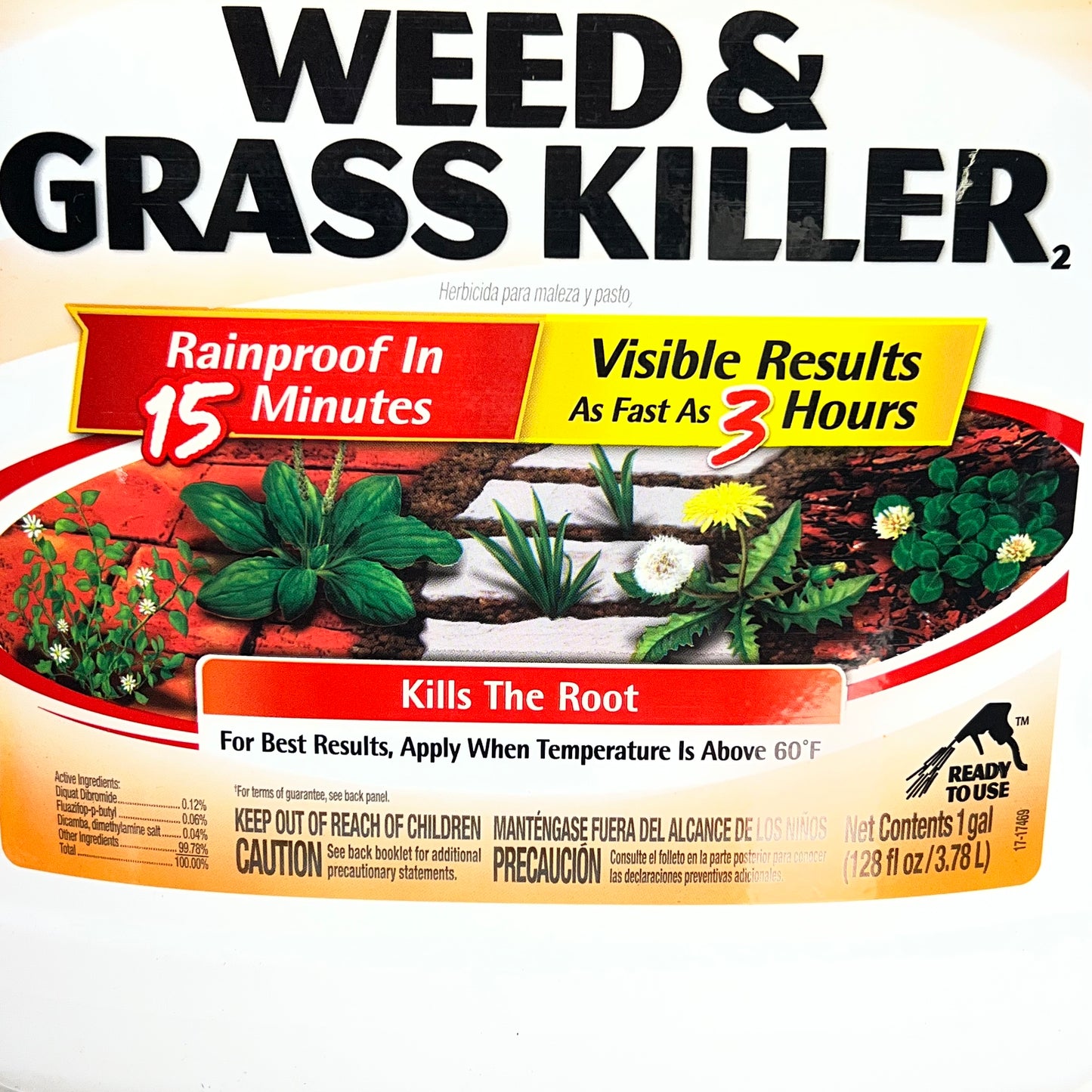 SPECTRACIDE Weed & Grass Killer Concentrate Kills The Root 1 Gal