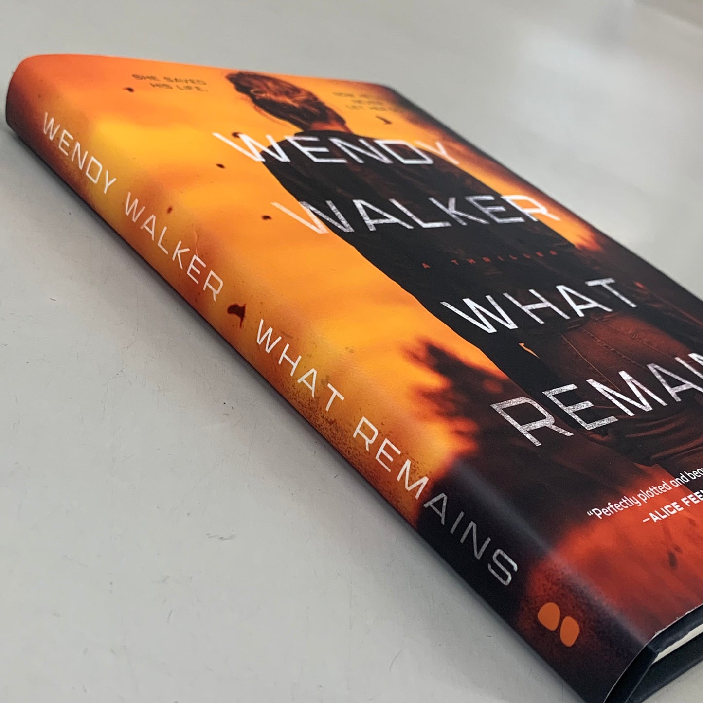 BLACKSTONE  Wendy Walker What Remains (Used Good-Slight Tear on cover) 254 Pages