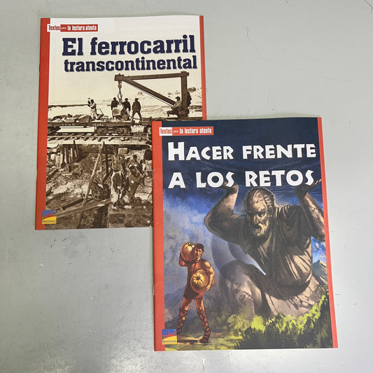 BENCHMARK EDUCATION (10 SET) Multiple Learning Point Books Grade 4 Spanish Edition