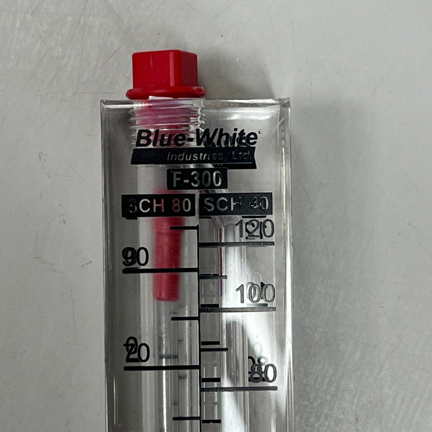 BLUE-WHITE Acrylic Flow Meter Stainless Steel Float Material 2.00" F302200P