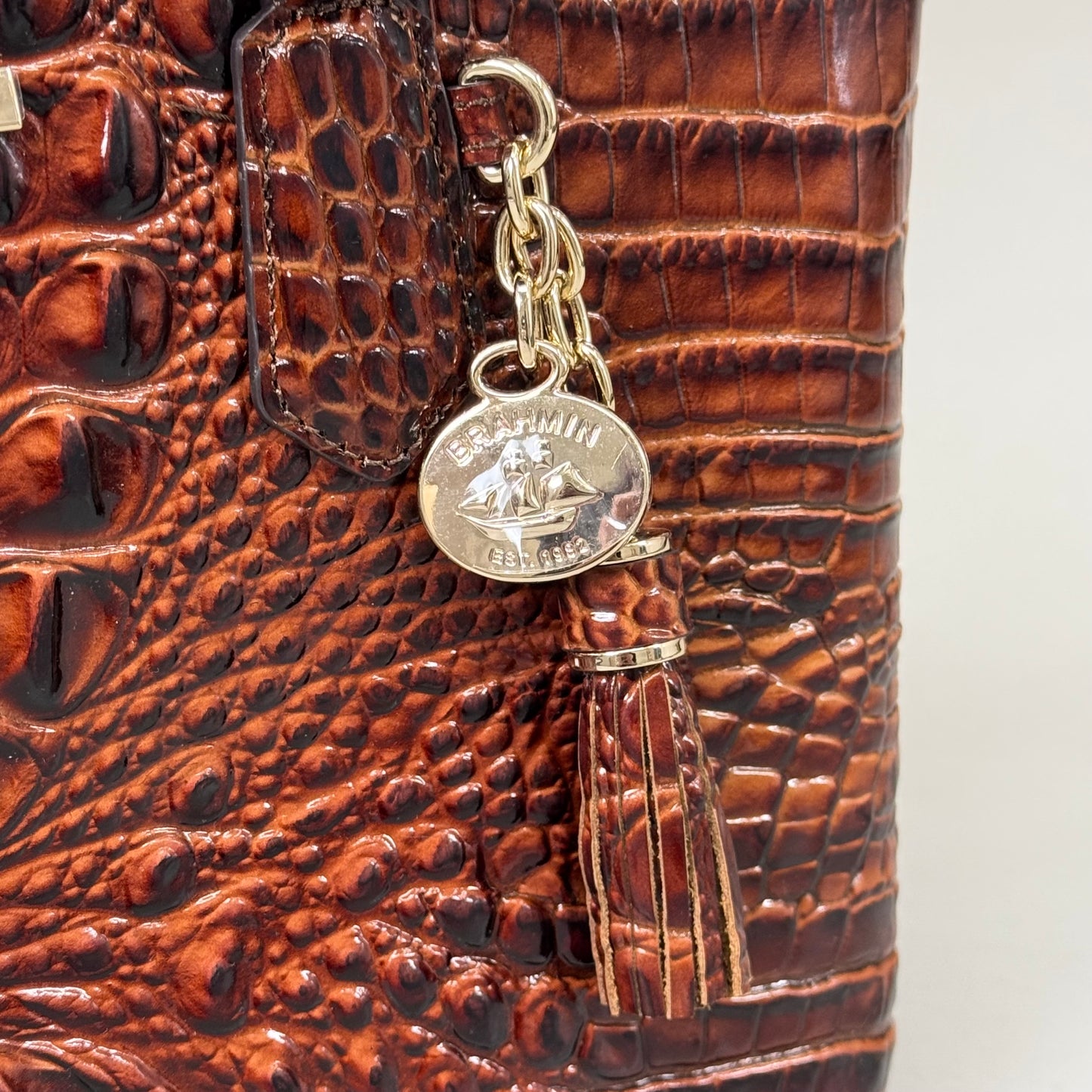 BRAHMIN Melbourne Leather Crocodile Embossed Med Asher Tote Bag (Brown)