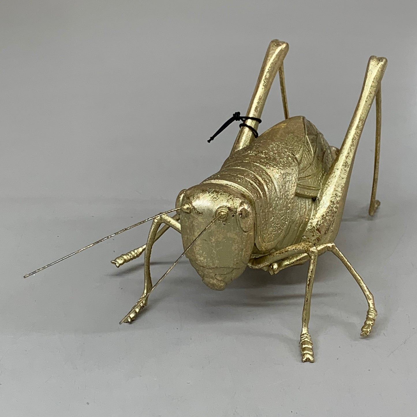 CREATIVE CO-OP Gold Resin Cricket Figurine 10"x4.5"x4.5" Overall Length Gold DF1054