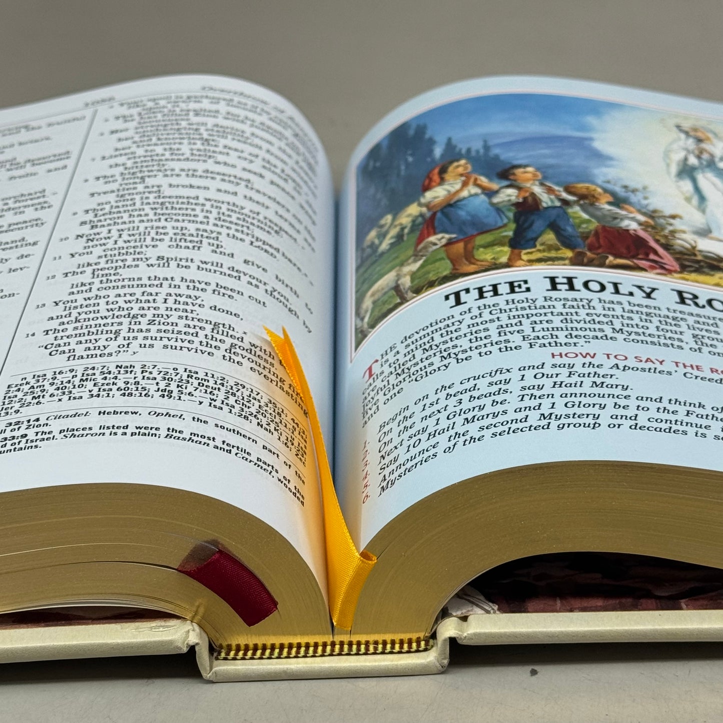 CATHOLIC BOOK PUBLISHING CORP New Catholic Bible Family Edition Imitation Leather Large Type Illustrated