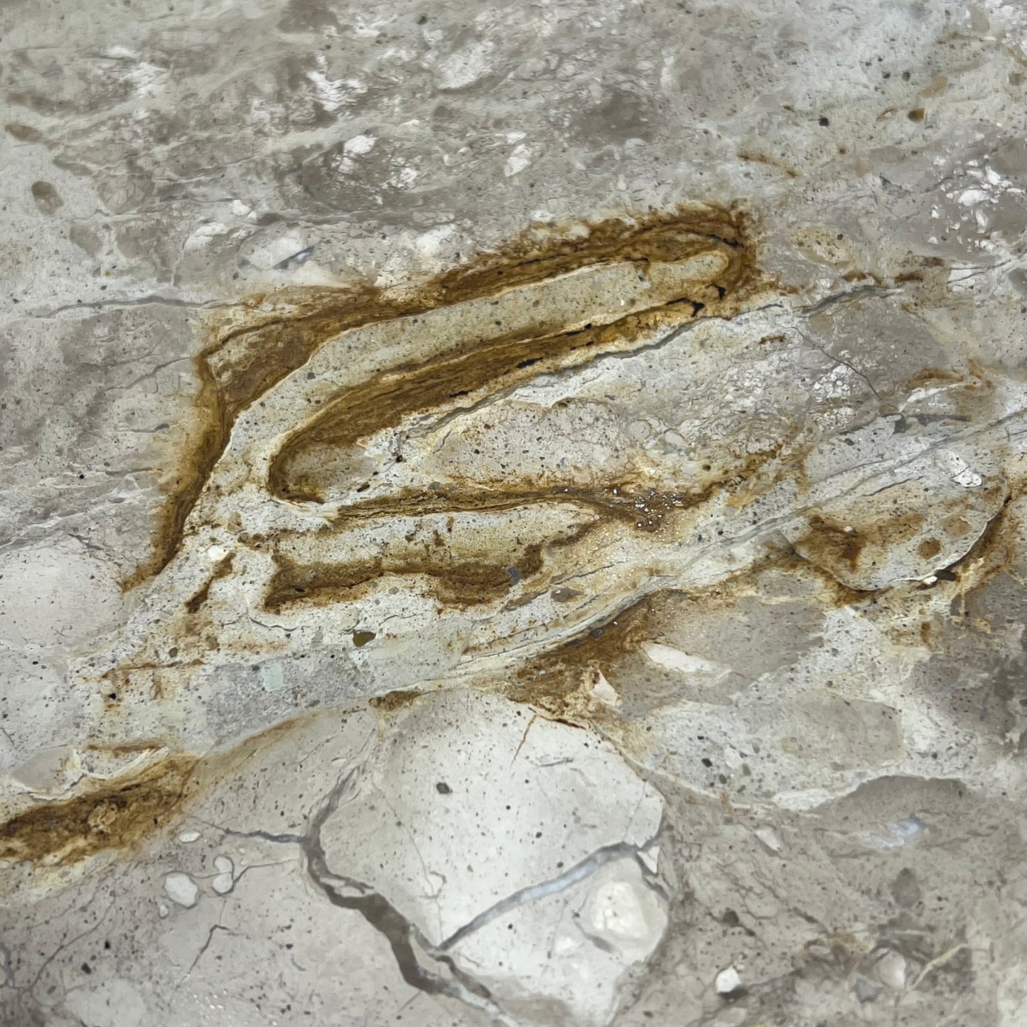 ZA@ CREATIVE CO-OP Round Table Top (NO LEGS) 24" Dia Creme/White