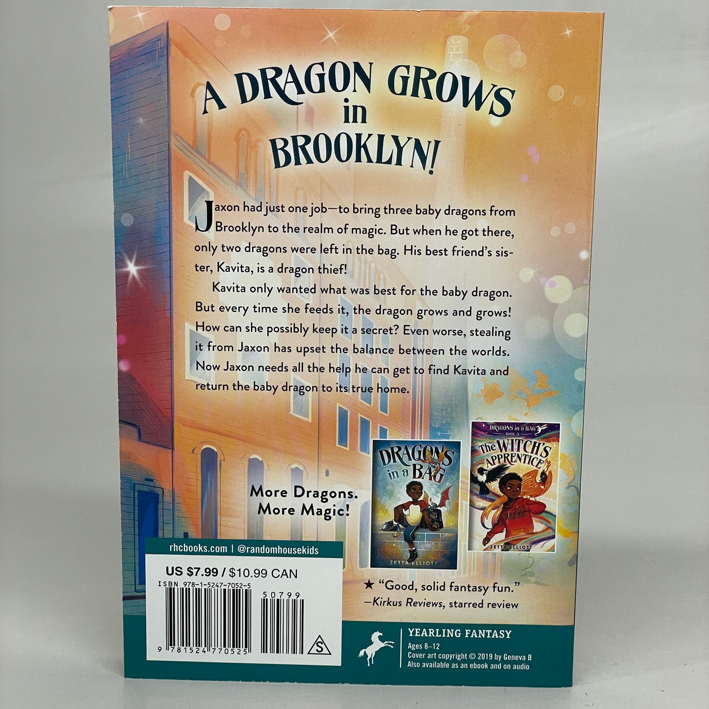 DRAGONS IN A BAG: THE DRAGON THIEF (2 Books) Paperback By Zetta Elliott