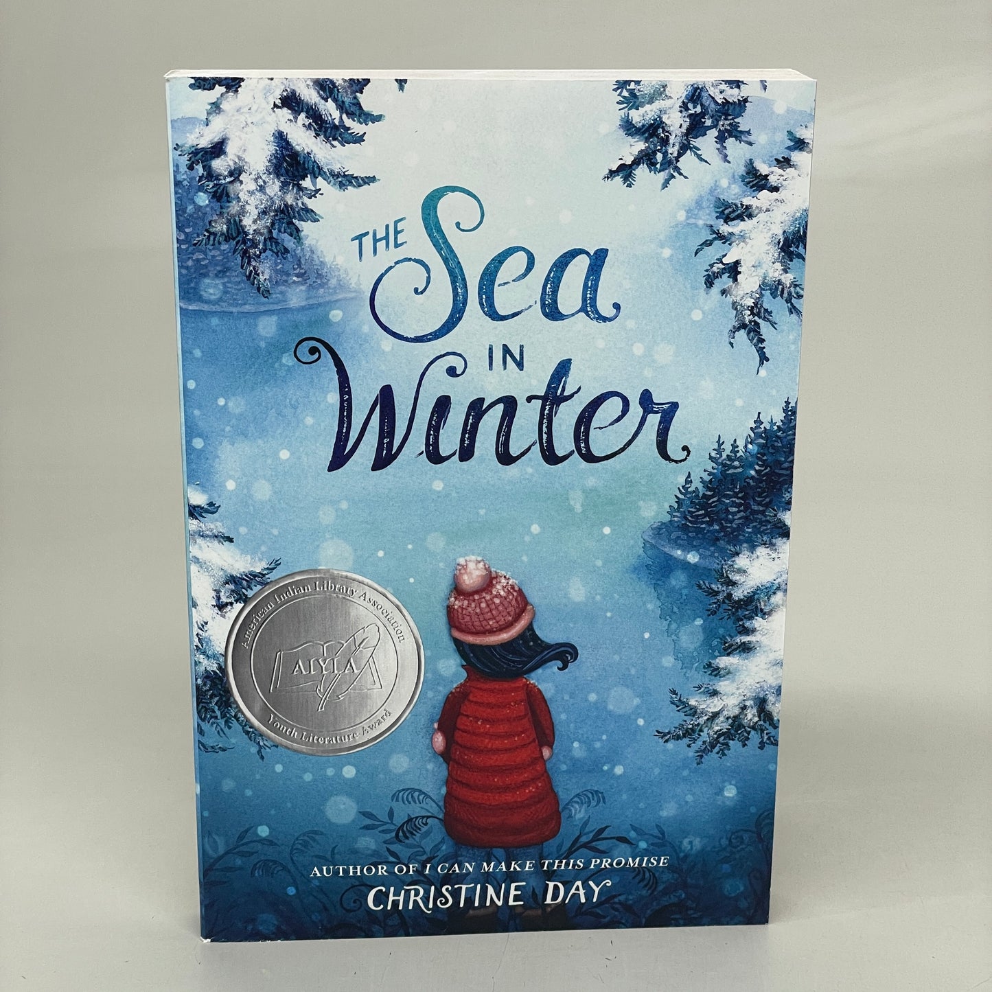 THE SEA IN WINTER (3 Books) Paperback By Christine Day
