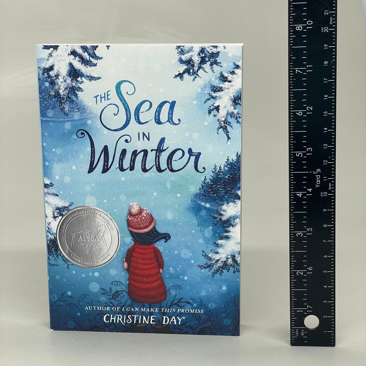 THE SEA IN WINTER (3 Books) Paperback By Christine Day